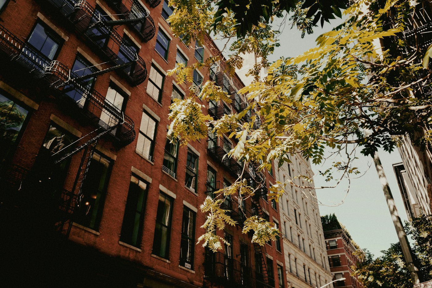 Brick apartment buildings with fire escapes, typical of homes where we provide home care in Morris Park, Bronx