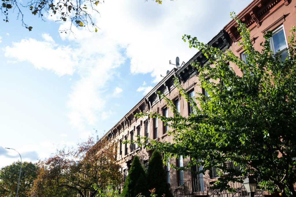 Brownstone row houses on a tree-lined street, where families arrange a home health aide in Brooklyn